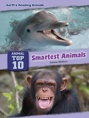 cover image of Smartest Animals